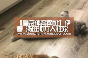 【皇冠体育网址】伊春 汤旺河万人狂欢丨共度第二届避暑梦幻消夏节(图1) 皇冠体育