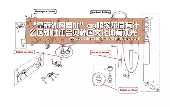 皇冠app